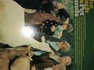 The Beach Boys Pet Sounds OG 1966 LP Mono Vinyl Record T 2458 Capitol RARE 1st