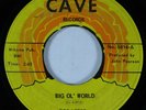 Country Bopper 45 BOB LEERS Big Ol' World CAVE HEAR *