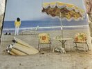 NEIL YOUNG ON THE BEACH VINYL LP  - ????????FAST SHIPPING