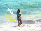 SHA LA DAS - LOVE IN THE WIND NEW VINYL