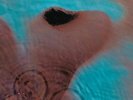 Meddle Gatefold Pink Floyd Vinyl Pop Rock Disc 1 Run Time 47 minutes NEW