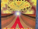 SAVOY BROWN  