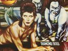 David Bowie **Diamond Dogs **BRAND NEW INDIE EXCLUSIVE RECORD LP VINYL