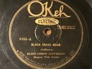 Blind Lemon Jefferson 78 PreWar Blues Okeh Records #8455 Black Snake Moan HEAR