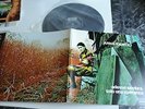 ANNA IDENTICI - ADESSO SEMBRA SOLO UNA SPERANZA - VINILE - LP 33 GIRI -12