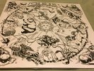 Chris Robinson Brotherhood The Magic Door NEW 2 LP Black Crowes Neal Casal