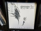 Décembre Noir ?– Autumn Kings Gatefold 2LP with two lyric sheets