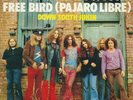 Lynyrd Skynyrd - Free bird (7