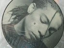 TERENCE TRENT D'ARBY - INTRODUCING THE HARDLINE -UK PIC DISC VINYL LP - UNPLAYED