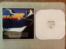 THE DEAR HUNTER The Color Spectrum WHITE Vinyl LP