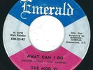 SC Garage Fuzz blast - The Mod VI EMERALD 121 What can i do / Show me how ?