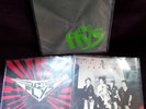 The Flys vinyl - Molotov Cocktail - Name Dropping - Waikiki - Punk Clash Damned