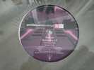 Seafoam Ambergris E.P. Vinyl Guidance Recordings 2000 Deep House