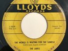 * LARKS World Is Waiting For The Sunrise / No Other Girl DOO WOP Lloyds 45 HEAR