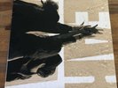 Pearl Jam - Ten 2009 Reissue Double LP (used)