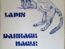 DARRAGH NAGLE & DEREK FULLER Lapis LP Top 1970s Hippie Folk—Rare Private HEAR