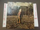 THE ALLMAN BROTHERS BAND BROTHERS AND SISTERS 1973 LP W/ INSERT 