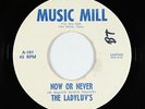 Girl Group Psych 45 - Ladyluv's - Now Or Never - Music Mill - mp3 - obscure
