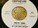 Gorgeous Farfisa Psych Promo 45 Plum Beach Incident Pretty Thing ORPHEUM NM HEAR