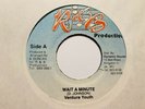 Venture Youth “Wait A Minute” and Sly & Robbie “Bitter Version” R & B Production