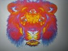 Black Crowes Lions 180g Colored Vinyl Chris Robinson Brotherhood 1st US Pressing