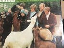 Beach Boys “Pet Sounds” Lp Capitol T2458 MONO, Nice Cover & Vinyl, Plays Well