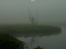 ID5z - Jesu - Sun Down / Sun Rise - ABX011 - vinyl 12 - uk