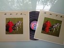RUSH-SIGNALS..LP & TOUR PROGRAM..SUPERB  1ST UK PRESS N/MINT VINYL LP 1982