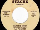 Chicago Modern Soul Boogie Funk SAI WHATT?? Same Old Story 45 Stache HEAR