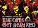 VARIOUS ARTISTS STRAIGHT OUT THE CAT LITTER SCOOP, VOL. 4 NEW VINYL