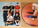 NEW FOUND GLORY- s/t Picture Disc Vinyl ed.1000