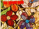 ID34z - The Beach Boys - Wild Honey - T 2859 - vinyl LP - us