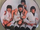 THE BEATLES YESTERDAY AND TODAY LP PICTURE DISC