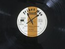 RAS MIDAS - Natty Dread Surprise, original 12” vinyl roots reggae UK 79 (TM 24)