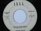 Northern Soul 45 RONNIE BAKER This Big Wide World JELL promo HEAR