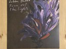 Julien Baker Turn Out The Lights Colored Vinyl