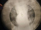 Gene Vincent - Wild Cat X-RAY OF THE USSR X-RAY BONE RECORD