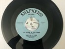 DOO WOP 45 THE BEAU-JIVES I’ll never be the same / what would you do SHEPHERD NM
