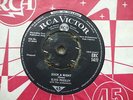Elvis Presley - RARE IRISH PRESS - Such A Night / Never Ending - ERC 1411