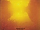 LEBANON HANOVER - The Last Thing - Vinyl (12