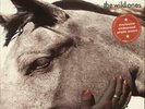 Suede The Wild Ones - EX 12