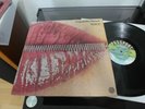 CAPABILITY BROWN VOICE IN MINT 1974 VINYL PROG / ROCK LP