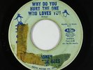 Northern Soul 45 - Honey & The Bees - Why Do You Hurt The One - Arctic - mp3