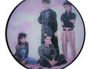 INDOCHINE - PICTURE DISC 45T - Canary Bay