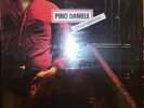 VINILE LP PINO DANIELE - BELLA 'MBRIANA 33 GIRI ANNO 1982 BAGARIA 3C 064-18590
