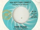 ANDRE WILLIAMS You Got It And I Want It RIC TIC DETROIT NORTHERN SOUL USA 45