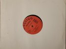The Party Has Just Begun [Single] by Freestyle (Vinyl, Mar-2014, JDC Records)