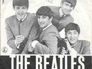 THE BEATLES 45 SHE LOVES YOU+PS DENMARK RARE 1963