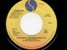 PUNK-RAMONES-HOWLING AT THE MOON/WART HOG-SIRE 29107