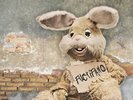 Fuctifano - PETER AND THE TEST TUBE BABIES [LP]